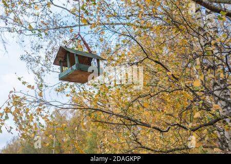 Mangeoire à oiseaux, maison pour voler de beaux poussins sur un arbre suspendu sur le fond de la forêt, cadre approximatif de bouleau Banque D'Images