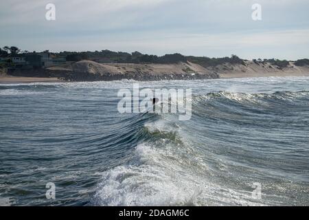 Session de surf à Ofir Beach au Portugal en novembre, mouvement de stand-up sur la planche de surf. Mécanique du surf. Crête de l'onde. Banque D'Images