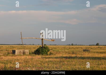 Bien dessiner dans la chatzta, Autriche, Burgenland, Neusiedler Voir parc national, Apetlon Banque D'Images