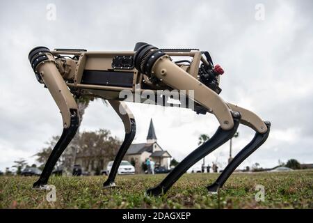 Un véhicule terrestre sans pilote Q-UGV fantôme de la Force aérienne américaine, connu sous le nom de chien robotique, est testé à la base aérienne de Tyndall le 10 novembre 2020 à Panama City, en Floride. Tyndall est l'une des premières bases militaires à intégrer l'UGV semi-autonome dans leur patrouille de sécurité. Banque D'Images