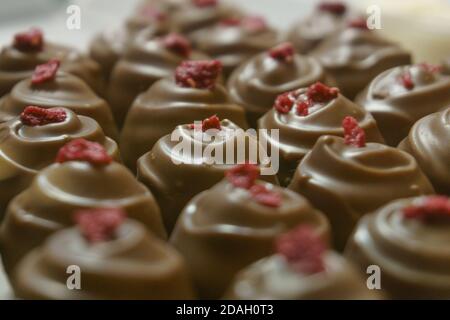 Patern de nombreuses pralines au chocolat aux framboise Banque D'Images