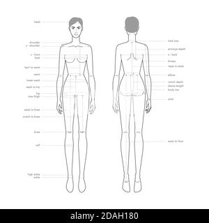 Femmes parties du corps terminologie mesures Illustration pour la production de vêtements et accessoires mode dame taille graphique. 9 fille de tête pour le site et boutique en ligne. Modèle d'infographie sur le corps humain Illustration de Vecteur