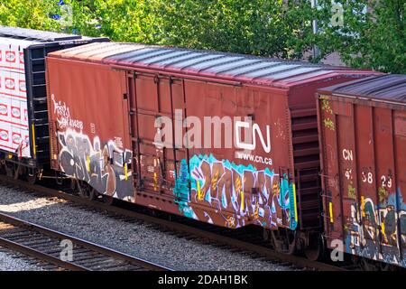 Un wagon du CN avec graffiti sur le côté assis sur une voie ferrée. Banque D'Images