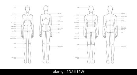 Hommes et femmes parties du corps mesures terminologiques Illustration pour la production de vêtements et d'accessoires mode 9 tête mâle et femelle taille graphique. Modèle d'infographie sur le corps humain Illustration de Vecteur