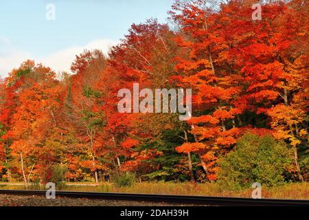 Trout Lake, Michigan, États-Unis. Les arbres le long des voies ferrées éclatent dans une variété de couleurs tandis que l'automne descend sur la péninsule supérieure du Michigan. Banque D'Images