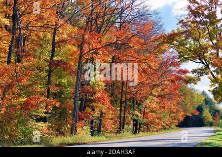 Trout Lake, Michigan, États-Unis. Arbres le long d'un pays débordant dans une variété de couleurs tandis que l'automne descend sur la péninsule supérieure du Michigan. Banque D'Images