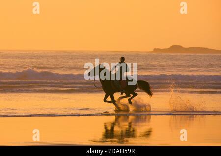 Homme à cheval sur la plage au coucher du soleil, Essaouira, Maroc Banque D'Images