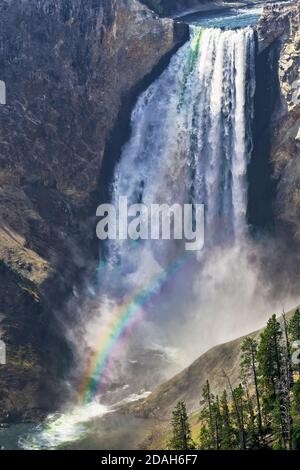 Gros plan de la cascade avec arc-en-ciel au Grand Canyon de Yellowstone Rivière depuis le plateau sud de Artist's point Banque D'Images