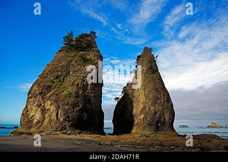 WA18003-00...WASHINGTON - les Seastacks près de Hole-in-the-Wall à marée basse sur la plage du Rialto sur la côte Pacifique dans le parc national olympique. Banque D'Images