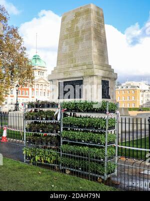 Londres, Royaume-Uni. 10 novembre 2020. Vue sur les parterres de fleurs du parc St James' Park de Londres. Crédit : Brett Cove/SOPA Images/ZUMA Wire/Alay Live News Banque D'Images