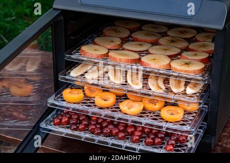 Sèche-linge électrique pour déshydrater des produits avec chargement horizontal de palettes à porte ouverte. Il y a des pommes, des bananes, des abricots et des cerises Banque D'Images
