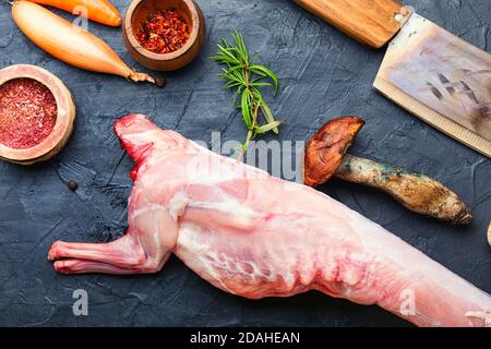 Viande de lapin crue aux épices avec épices et condiment Banque D'Images