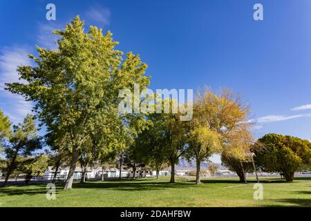 Vue du matin sur le parc Floyd Lamb de Las Vegas, Nevada Banque D'Images