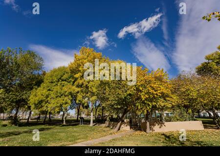 Vue du matin sur le parc Floyd Lamb de Las Vegas, Nevada Banque D'Images