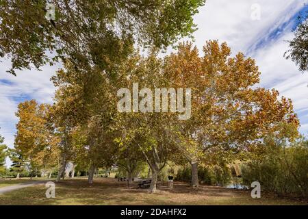 Vue du matin sur le parc Floyd Lamb de Las Vegas, Nevada Banque D'Images
