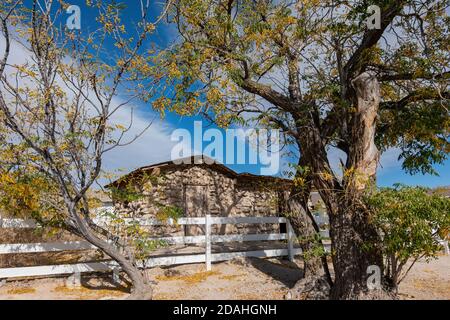 Vue du matin sur le parc Floyd Lamb de Las Vegas, Nevada Banque D'Images