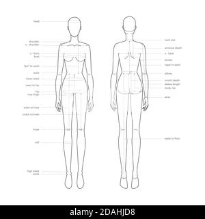 Femmes parties du corps terminologie mesures Illustration pour la production de vêtements et accessoires mode dame taille graphique. 9 fille de tête pour le site et boutique en ligne. Modèle d'infographie sur le corps humain Illustration de Vecteur