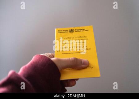 Taïwan. 12 novembre 2020. Sur cette photo, vous pouvez voir la carte de vaccination de l'Organisation mondiale de la santé à Taipei. Credit: Walid Berrazeg/SOPA Images/ZUMA Wire/Alay Live News Banque D'Images