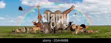 Grand groupe de la faune africaine, safari animaux sauvages ensemble, dans une rangée, isolé Banque D'Images