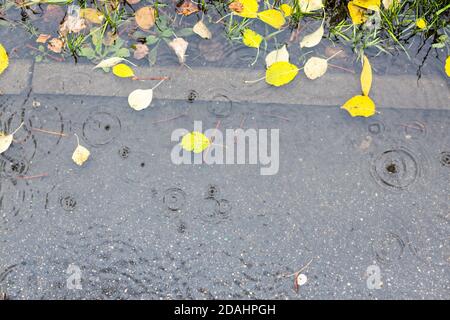 vue de dessus de la flaque avec des feuilles flottantes jaunes trottoir sous la pluie d'automne Banque D'Images