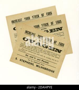 Brochure de production d'oeufs Ovagen début de 1900, Milnsbridge, Huddersfield, W. Yorkshire, Royaume-Uni vers 1920 Banque D'Images