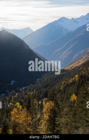 Vue sur la vallée de la montagne avec des larches d'orange et des pins verts à la fin de l'automne, par une journée ensoleillée. Val Masino, Lombardie, Italie. Arrière-plan ou fond d'écran. Ven Banque D'Images