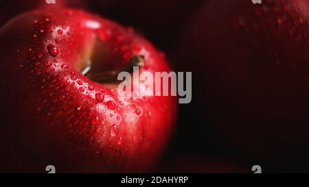 Une pomme rouge mûre délicieuse douce est couverte de gouttes d'eau claires et se trouve dans l'obscurité, illuminée par la lumière. Récolte de fruits. Banque D'Images