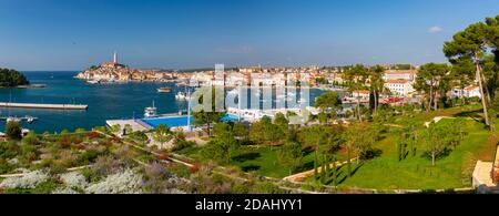 Vue imprenable sur le port et la vieille ville avec la cathédrale Saint-Euphemia, Rovinj, Istrie, Croatie, Adriatique, Europe Banque D'Images