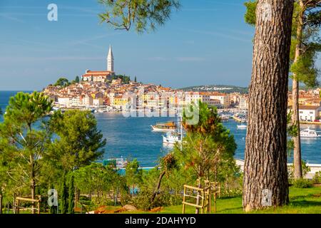 Vue imprenable sur le port et la vieille ville avec la cathédrale Saint-Euphemia, Rovinj, Istrie, Croatie, Adriatique, Europe Banque D'Images