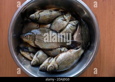 Fraîchement lavé brillant petit poisson de lac cafard repose dans une plaque de métal sur une table en bois. Banque D'Images