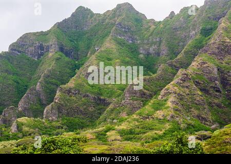 Pic de montagne dentelé, Oahu, Hawaï. La chaîne de montagnes Koolau s'étend sur toute la partie est de l'île. Banque D'Images