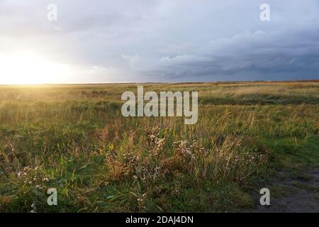Sankt Peter-Ording Schleswig-Holstein Nordsee Allemagne Banque D'Images