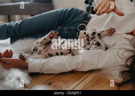 La jeune femme est sur le sol et joue avec le chiot de chien dalmatien. Banque D'Images