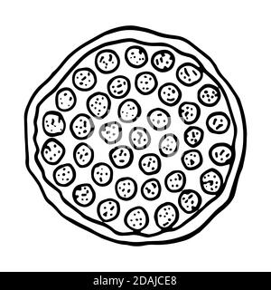 Pizza cuisine italienne traditionnelle. Style d'esquisse dessiné à la main. Illustration vectorielle isolée sur fond blanc pour le menu du restaurant et la conception du paquet, poste Illustration de Vecteur