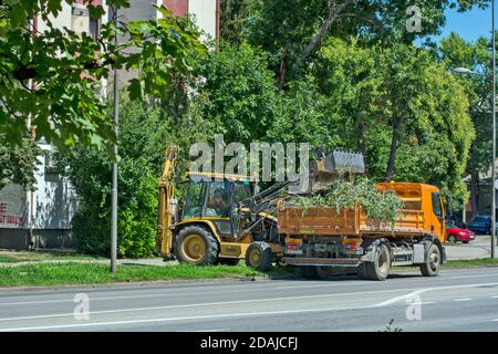 Zrenjanin, 29 juillet 2020. Chargement mécanisé de gravats communaux dans un camion. Le camion emmène ensuite tout à la décharge de la ville. Banque D'Images