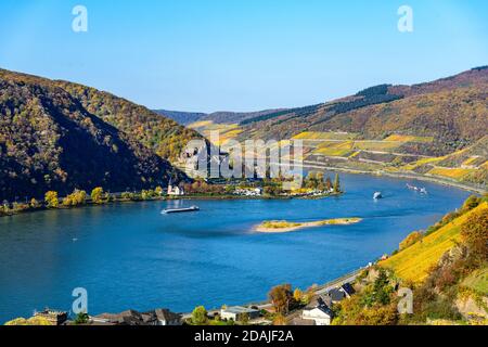 Château de burg Reichenstein, vallée du Rhin moyen supérieur (Mittelrhein), vignobles colorés, automne jaune, ciel bleu. À proximité Assmannshausen Rudeshei Banque D'Images