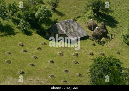 Comté de Brasov, Roumanie. Cabane en bois au milieu d'un pâturage de montagne. Piles de foin. Banque D'Images