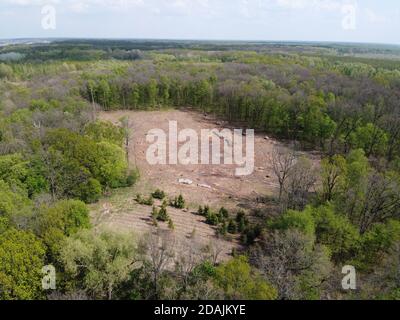 Un lieu d'abattage, vue aérienne. Terre dévastée, défrichement. Banque D'Images