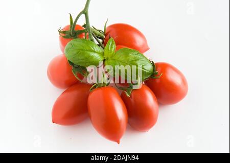 Tomate, basilic, nourriture végétarienne, composition créative de tomates cerises isolées sur blanc. Basilic frais, tomates, concept de cuisine, vue du dessus. Banque D'Images