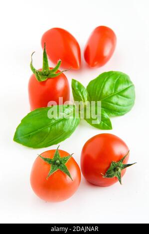 Tomate, basilic, nourriture végétarienne, composition créative de tomates cerises isolées sur blanc. Basilic frais, tomates, concept de cuisine, vue du dessus. Banque D'Images