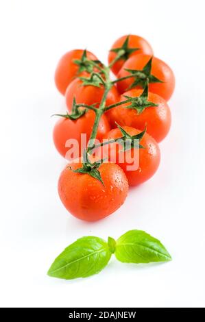 Tomate, basilic, nourriture végétarienne, composition créative de tomates cerises isolées sur blanc. Basilic frais, tomates, concept de cuisine, Banque D'Images