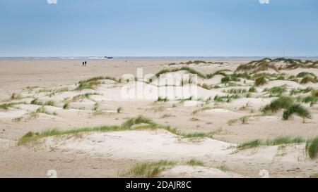 Paysage fond avec dunes de sable, plage et plage herbe de la côte de mer du Nord de He pays-Bas Banque D'Images