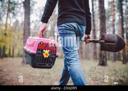 Homme toujours en forêt transportant une boîte de transport à l'intérieur avec un animal mort et une pelle pour enterrer un animal dans le bois. Perte d'animal en automne. Le mâle va faire un Banque D'Images