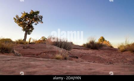 Vue sur les incroyables formations rocheuses et les pierres de sable au coucher du soleil Page Arizona Banque D'Images