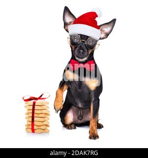 noël prague router , prager hotler santa claus chien cokies pour les vacances, isolé sur fond blanc, comme une surprise Banque D'Images
