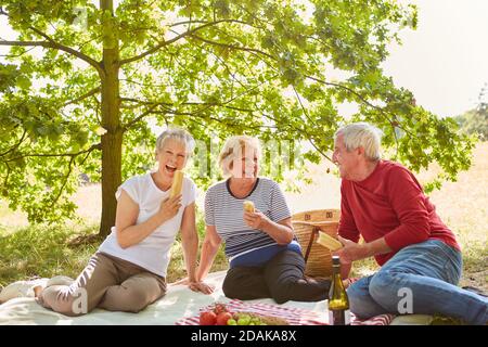 Rire groupe de personnes âgées ensemble avoir un pique-nique dans le parc avec baguette, fruits et vin Banque D'Images