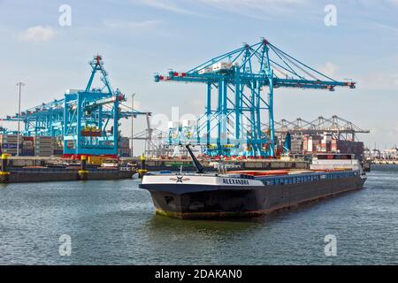 Péniche sur la Meuse dans le port de Rotterdam. 3 septembre 2016. Banque D'Images