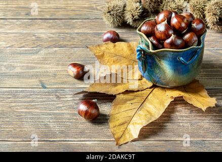 Composition d'automne - châtaignes dans une tasse bleue et châtaignier feuilles sur une ancienne table en bois Banque D'Images