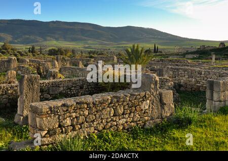 Ruines d'une ancienne ville romaine à Volubilis, Maroc Banque D'Images