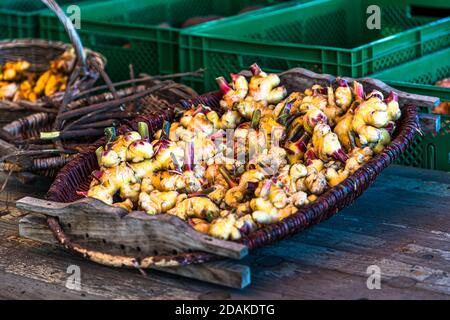 Curcuma et gingembre de Bamberg. Ils ne mûrissent pas aussi bien que les variétés du Pérou ou de la Chine, sont un peu plus doux, mais incroyablement frais. Le quartier des jardiniers du marché de Bamberg est inscrit sur la liste du patrimoine mondial de l'UNESCO depuis 1993 Banque D'Images